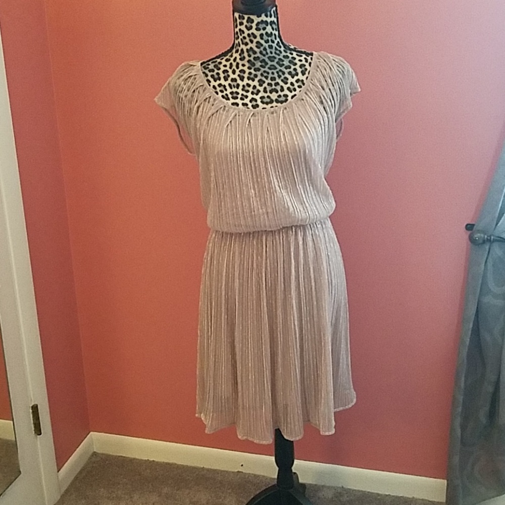 Champagne pink dress